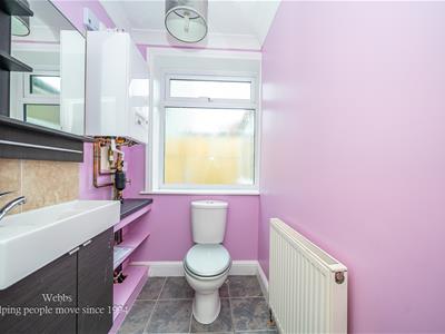 Picture 13